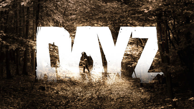 Хостинг DayZ: лучший выбор для компьютерных игр